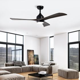 Metal Ceiling Fan
